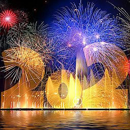 Firework 202