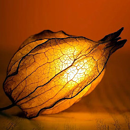 Light glow leaf 100