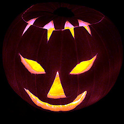 Pumpkin 101